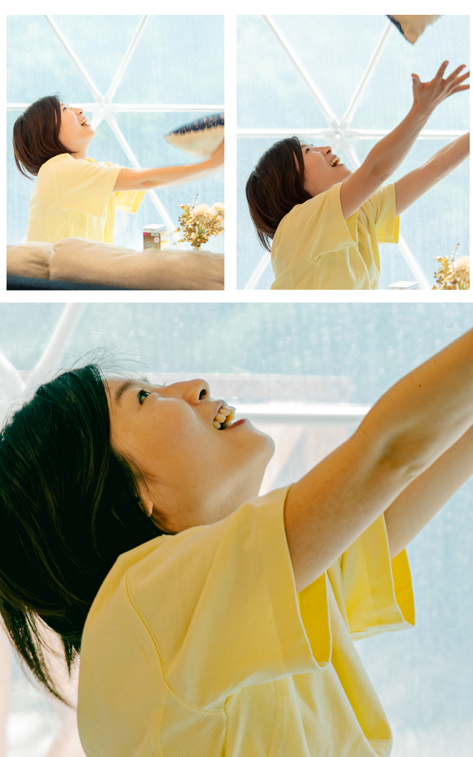 向日葵 写真5