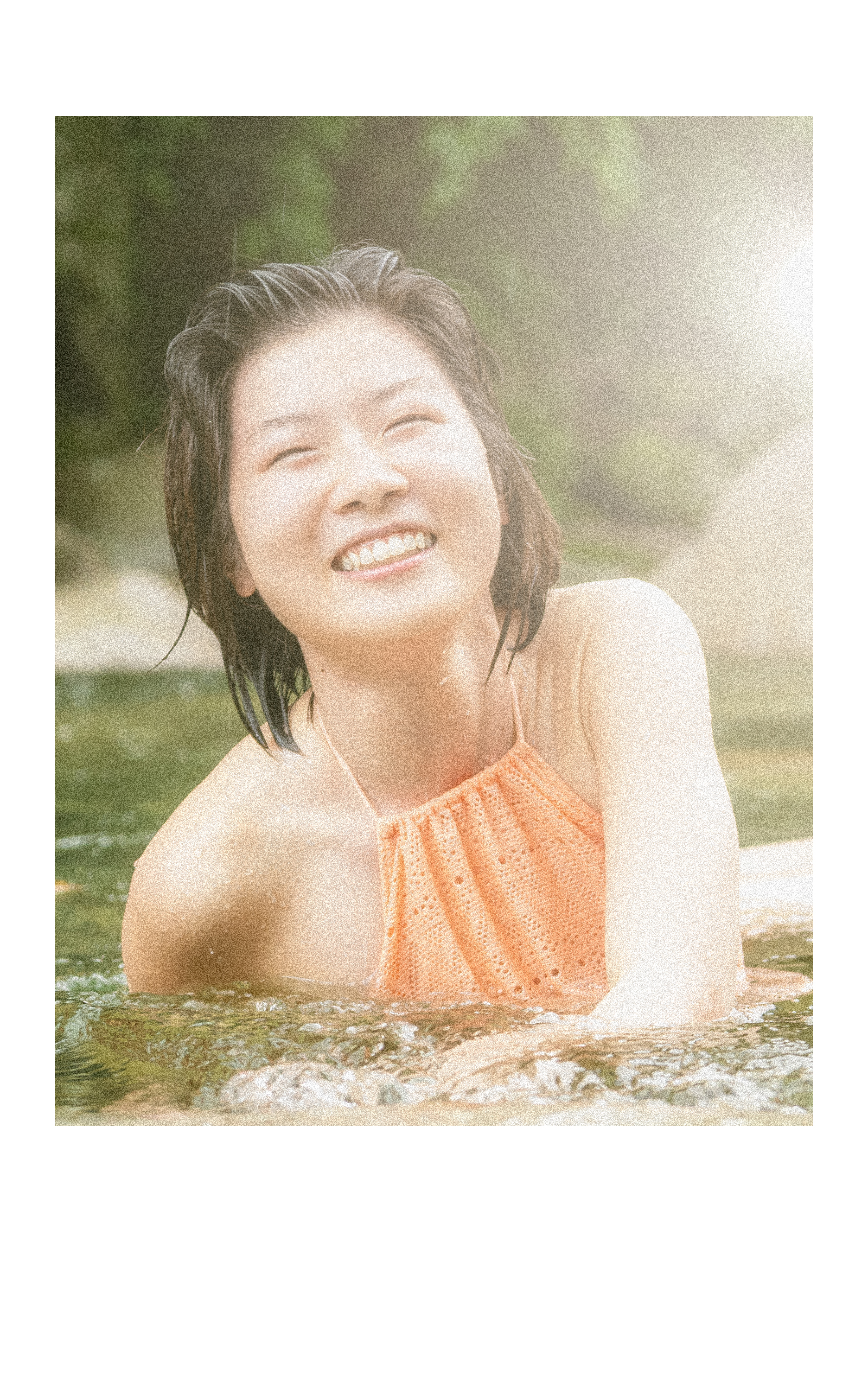 向日葵