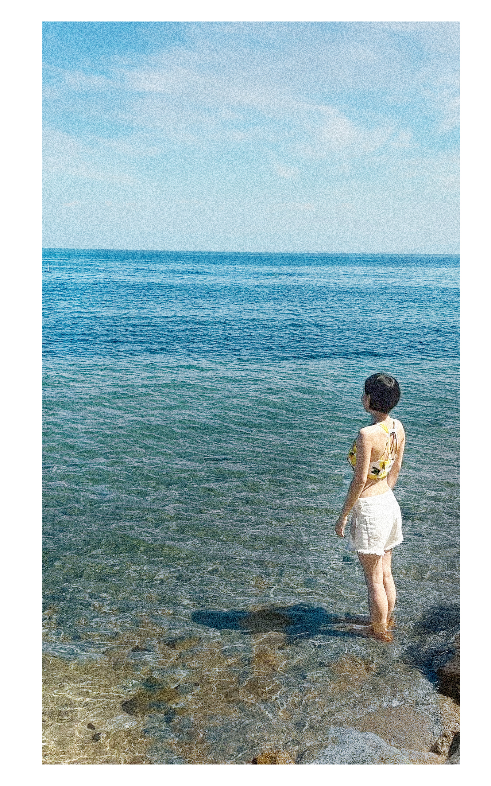 向日葵 写真20