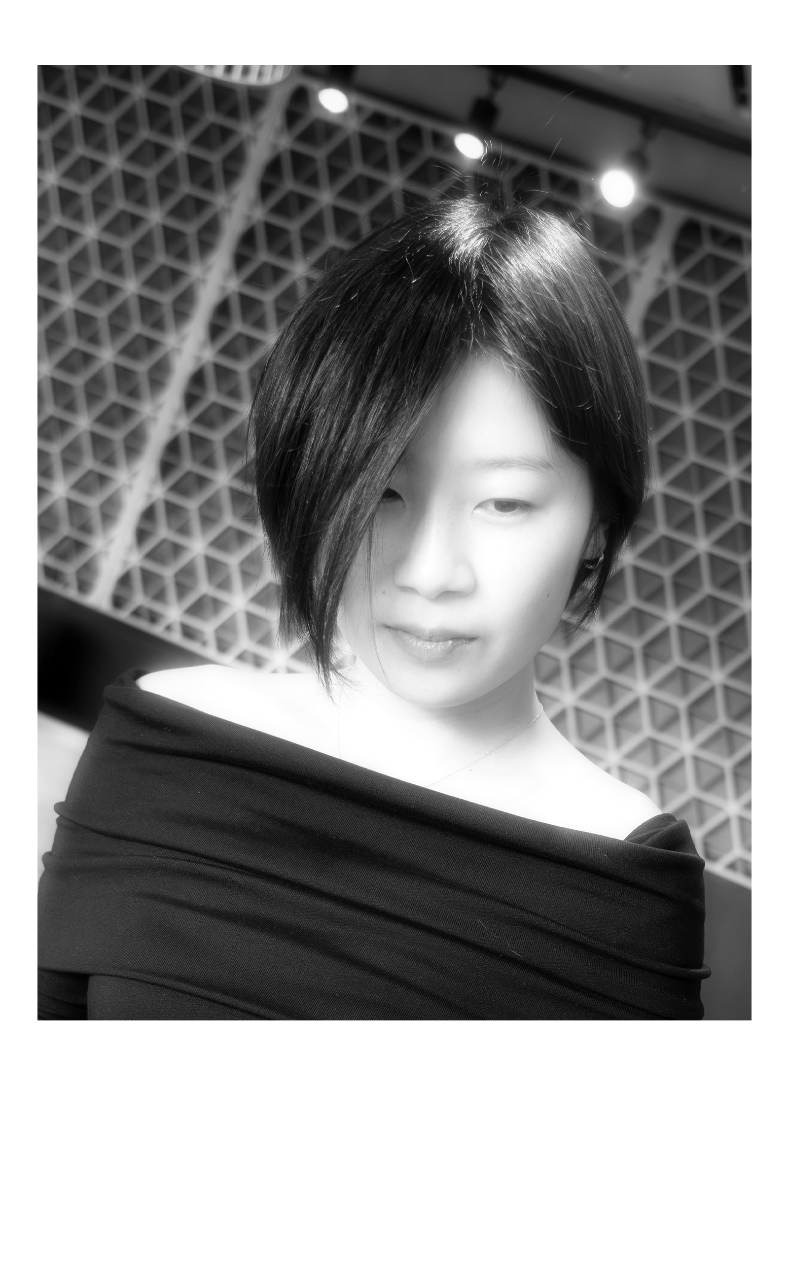 向日葵 写真23