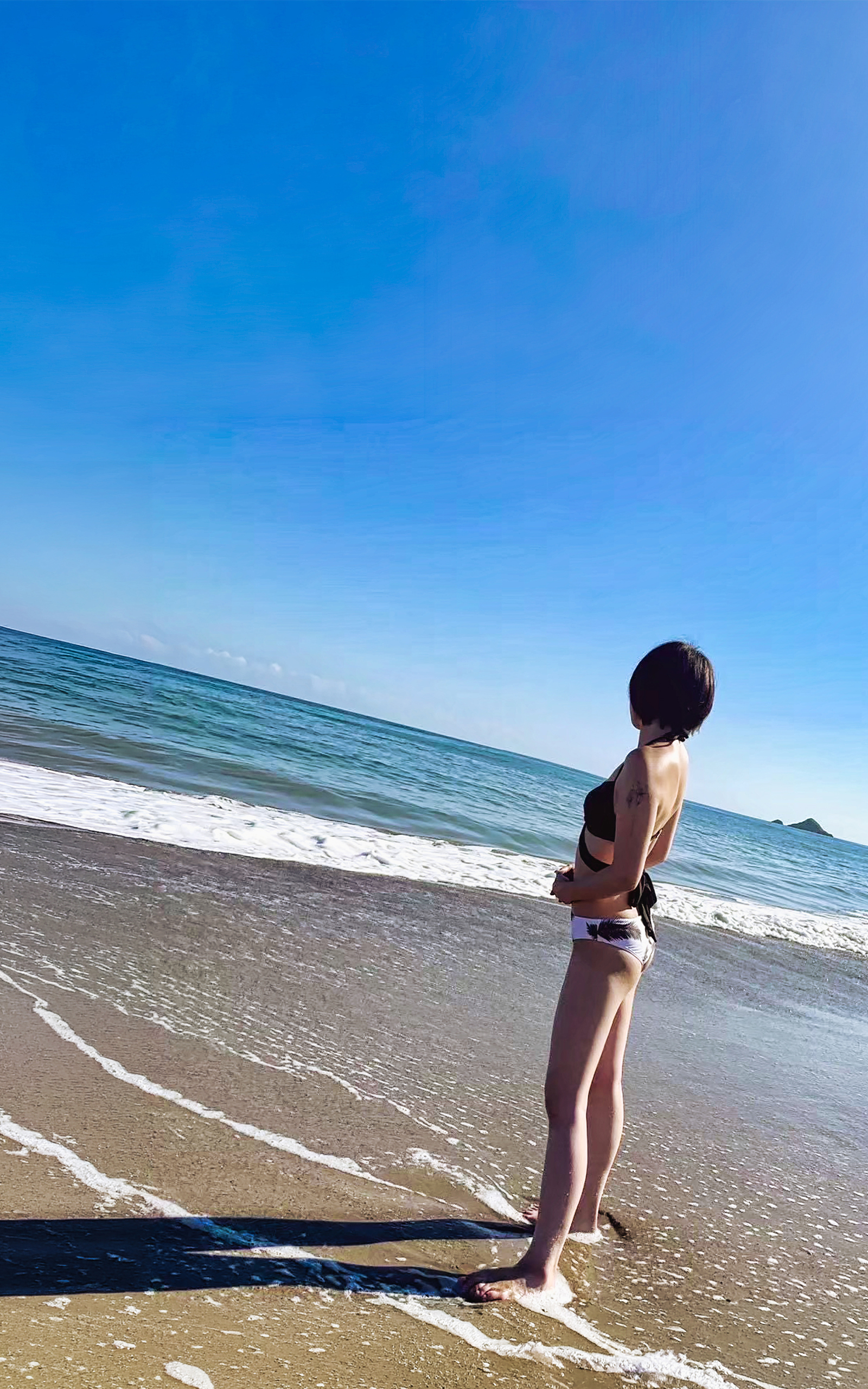 向日葵 写真32