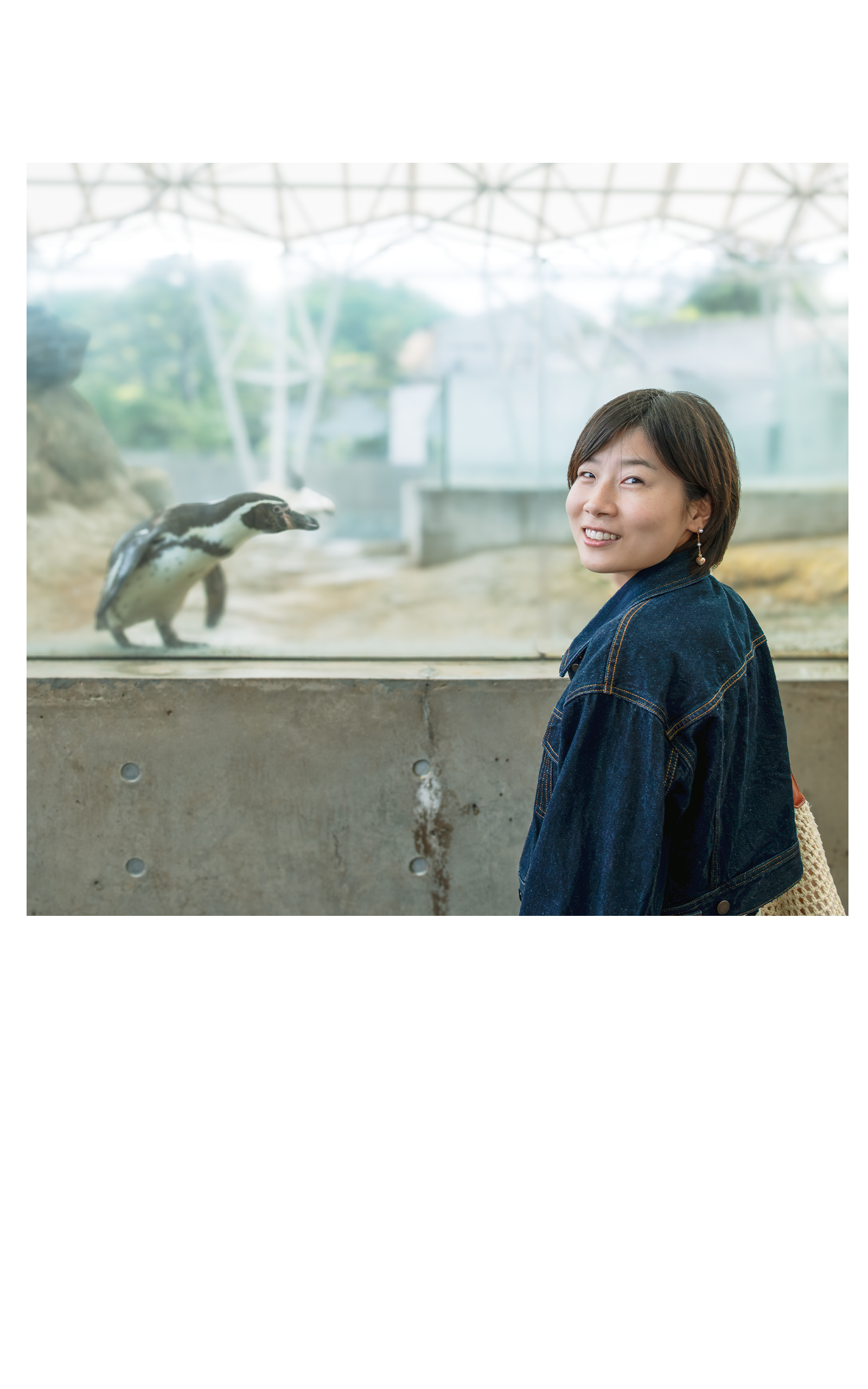 向日葵 写真2