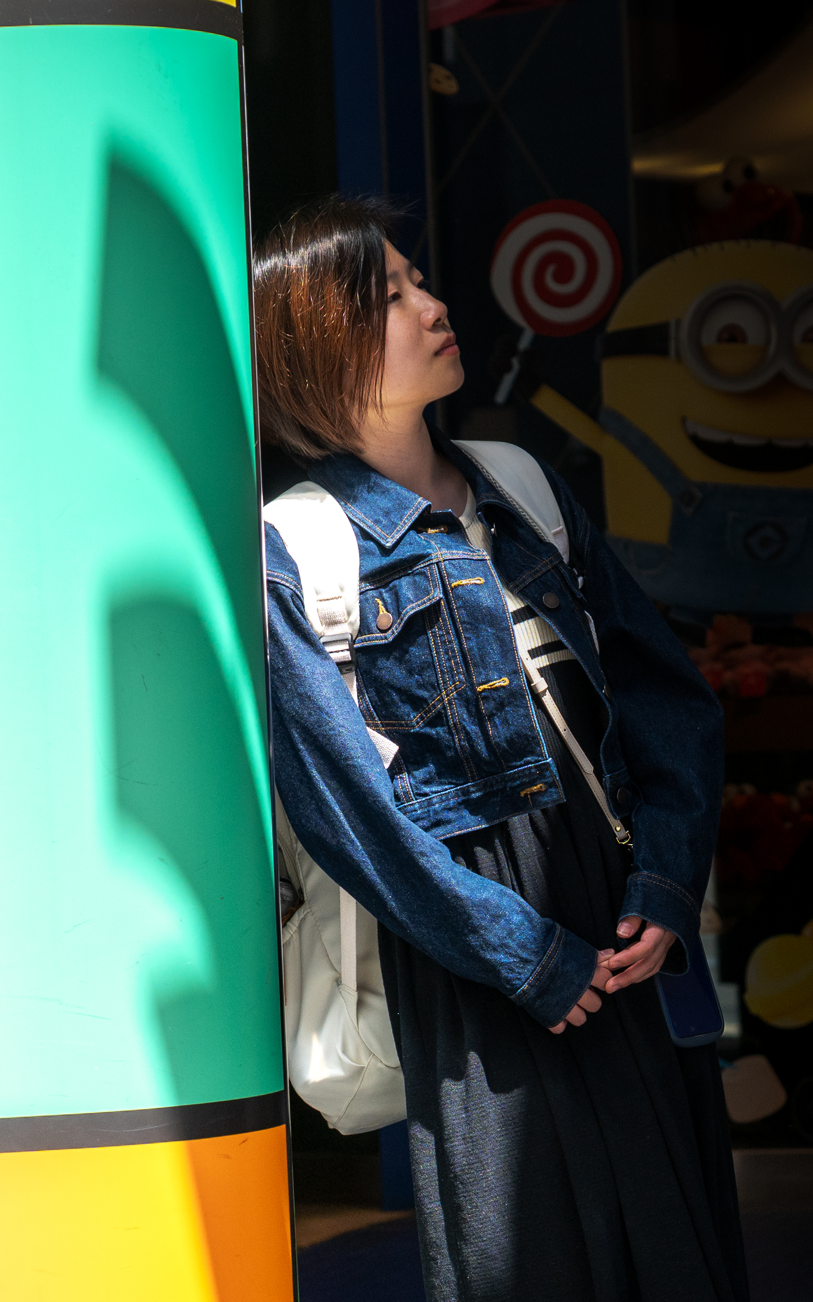 向日葵 写真2