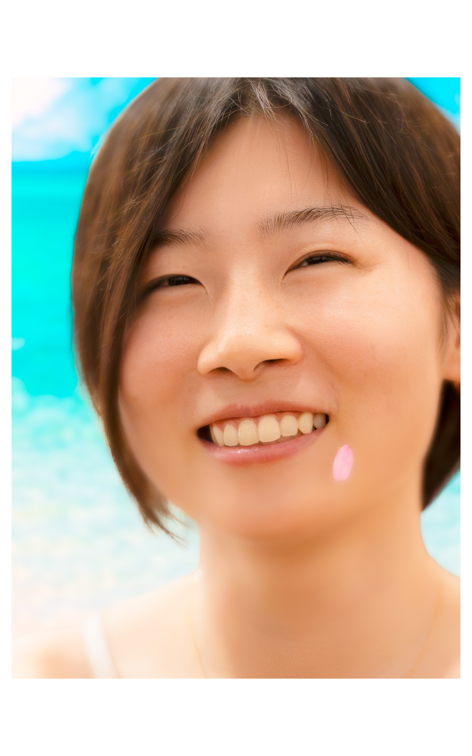 向日葵 写真1