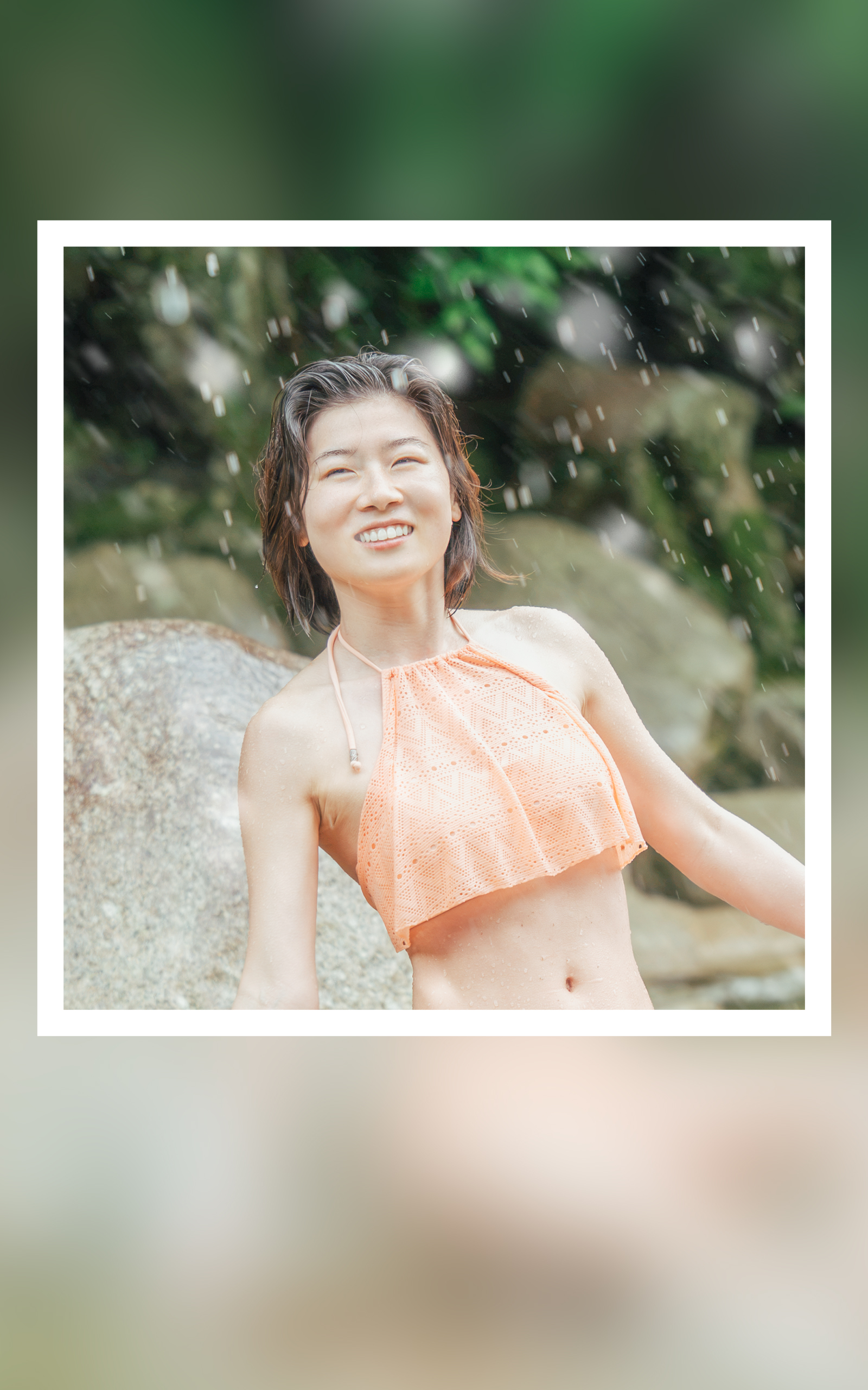 向日葵 写真3