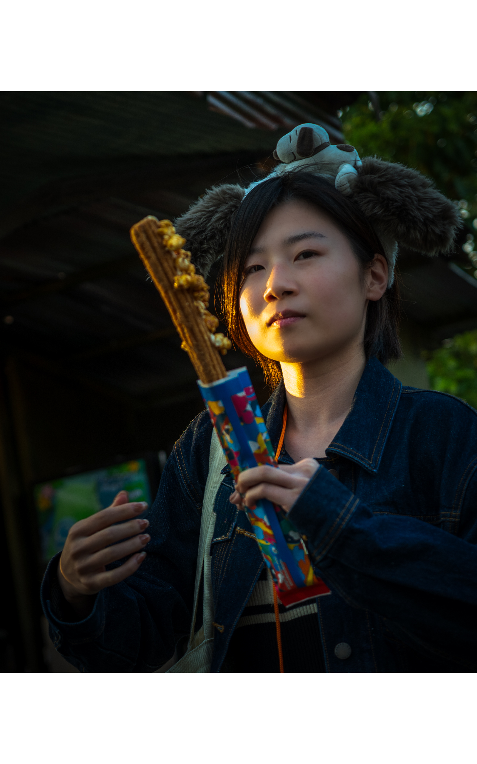 向日葵 写真2